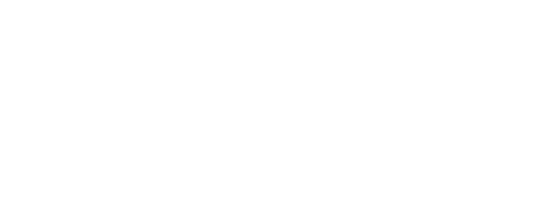 Techno Drome International Logo