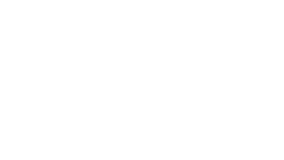 Boy Records Logo