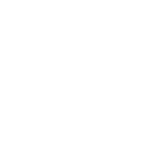Paradise Garage Club New York Logo