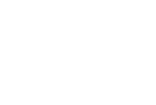Passion Records Logo