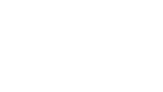 Boy Records Logo