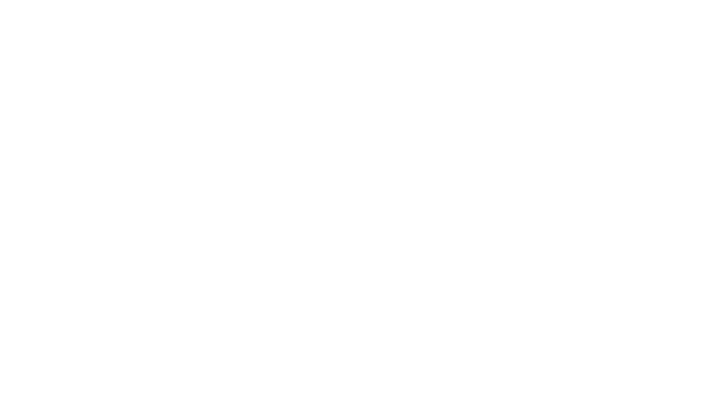 Vinyl Mania Records Logo