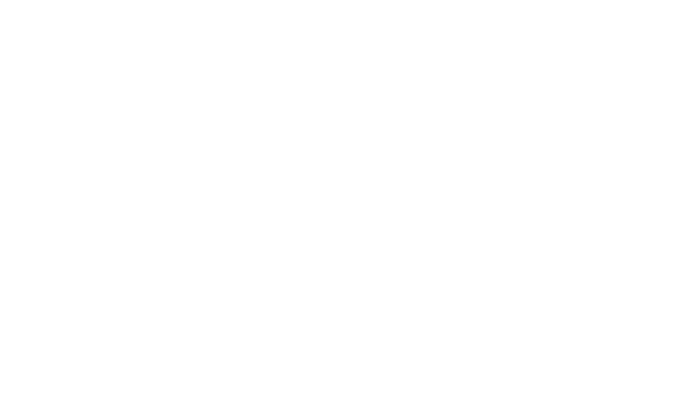 Disc-O-Rama Logo