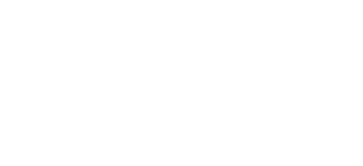 Wit Boy Logo