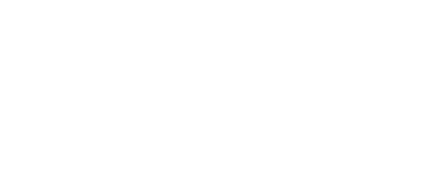 Next Plateau Records Logo