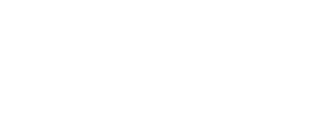 Street Wise Records Logo