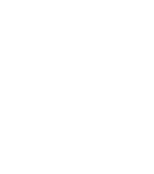 Debut Records Logo